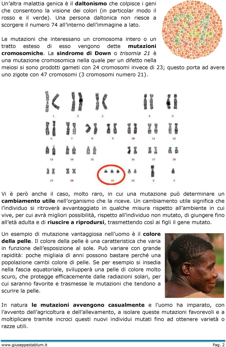 Le mutazioni che interessano un cromosoma intero o un tratto esteso di esso vengono dette mutazioni cromosomiche.