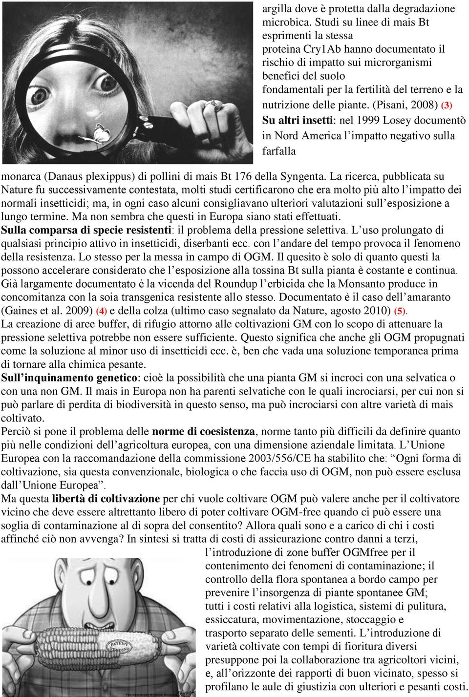 delle piante. (Pisani, 2008) (3) Su altri insetti: nel 1999 Losey documentò in Nord America l impatto negativo sulla farfalla monarca (Danaus plexippus) di pollini di mais Bt 176 della Syngenta.