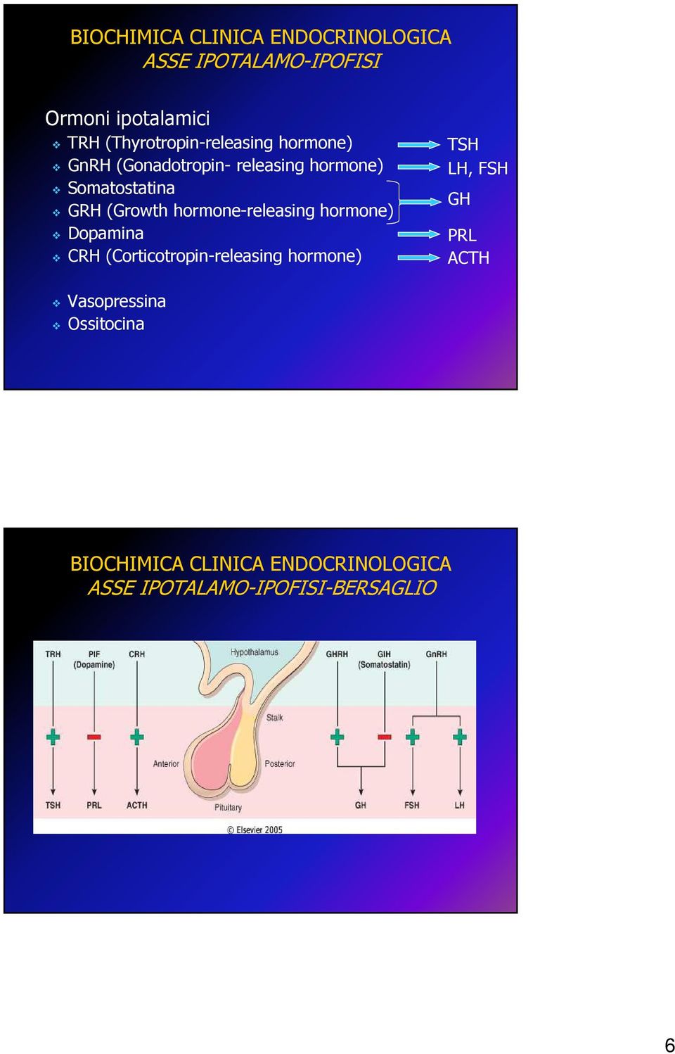 hormone-releasing hormone) Dopamina CRH (Corticotropin-releasing hormone)