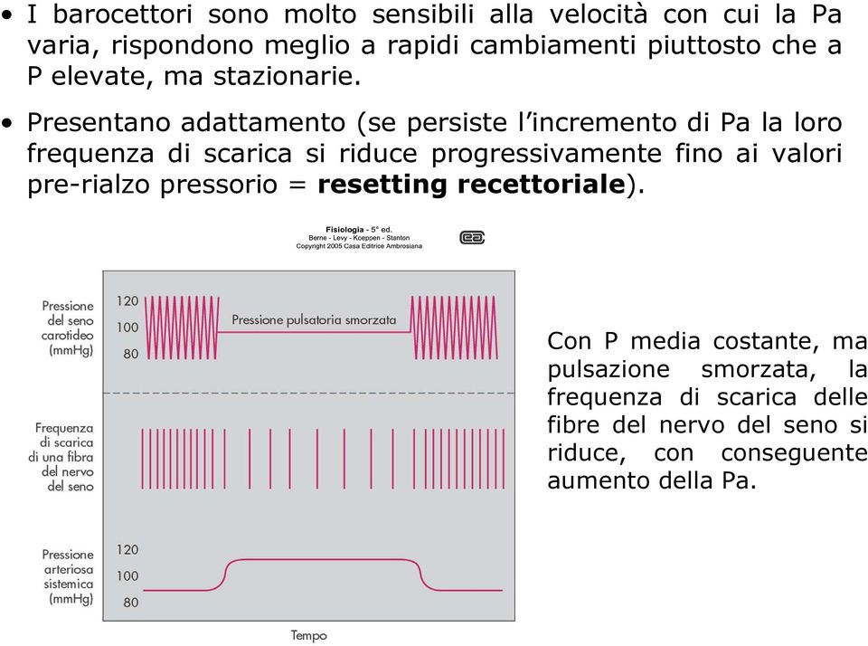 Presentano adattamento (se persiste l incremento di Pa la loro frequenza di scarica si riduce progressivamente fino