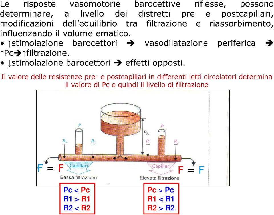 stimolazione barocettori vasodilatazione periferica Pc filtrazione. stimolazione barocettori effetti opposti.