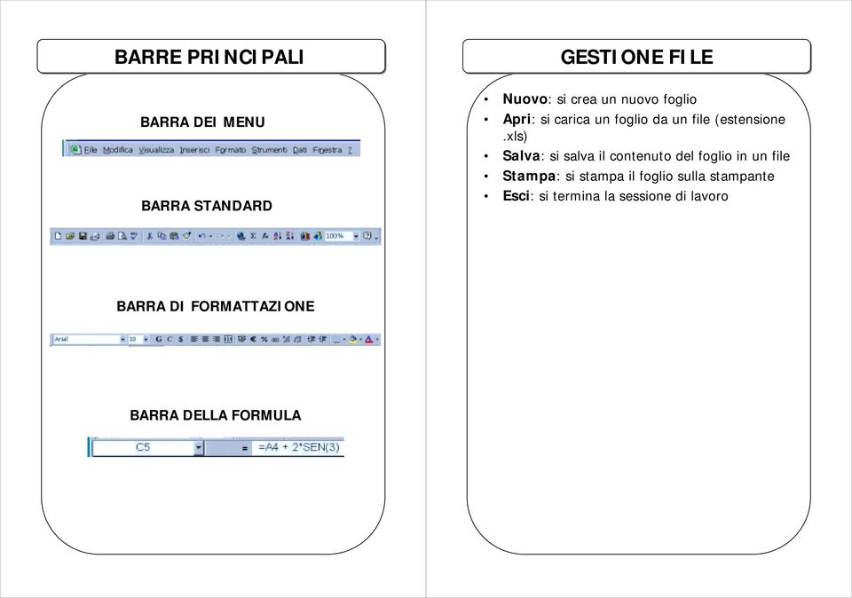 xls) Salva: si salva il contenuto del foglio in un file Stampa: si stampa il