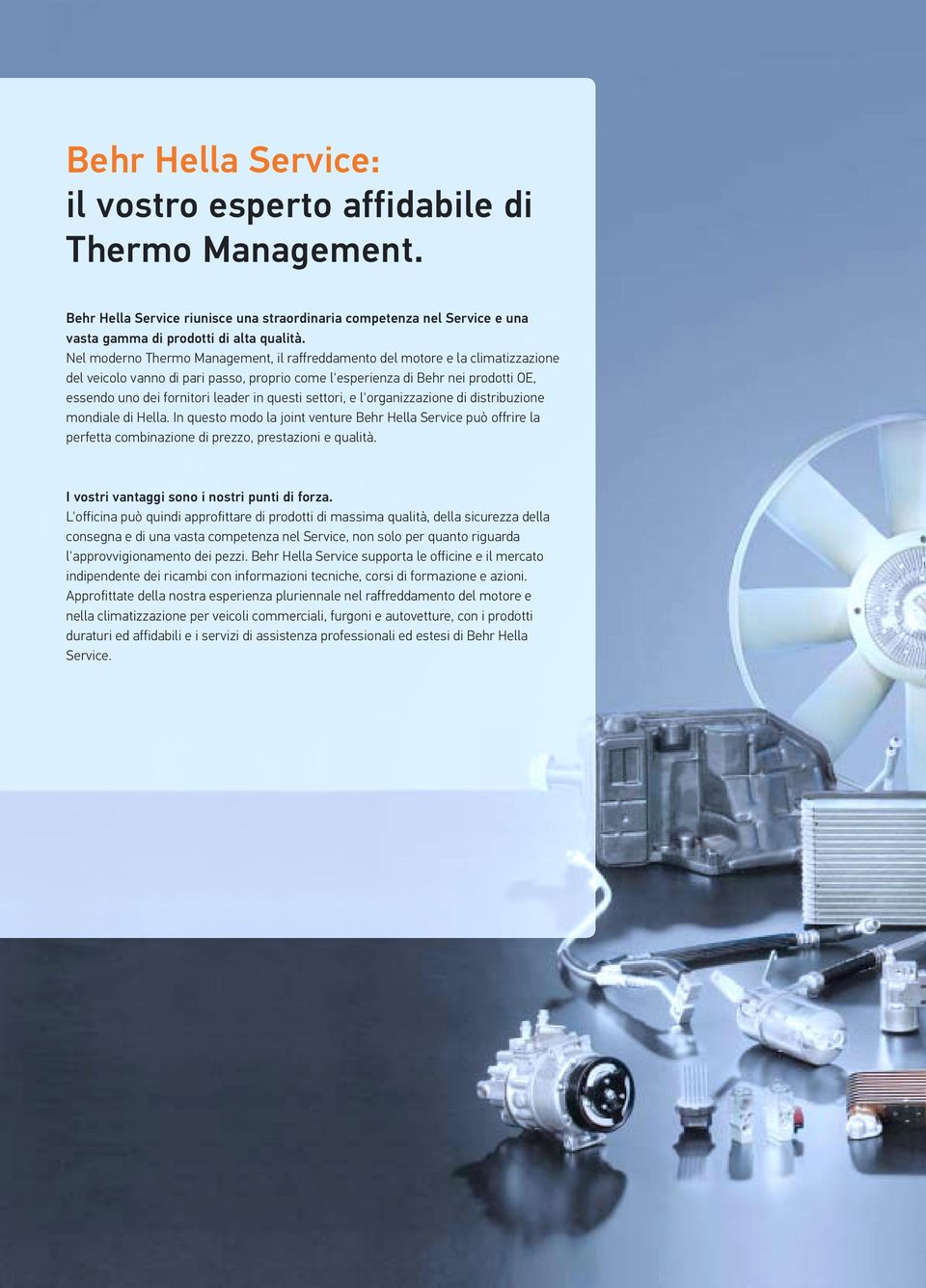 in questi settori, e l'organizzazione di distribuzione mondiale di Hella. In questo modo la joint venture Behr Hella Service può offrire la perfetta combinazione di prezzo, prestazioni e qualità.