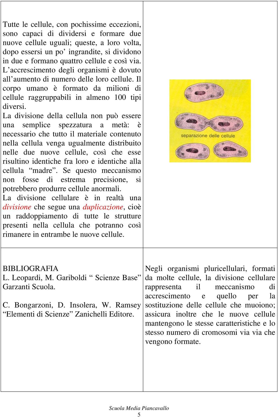 La divisione della cellula non può essere una semplice spezzatura a metà: è necessario che tutto il materiale contenuto nella cellula venga ugualmente distribuito nelle due nuove cellule, così che