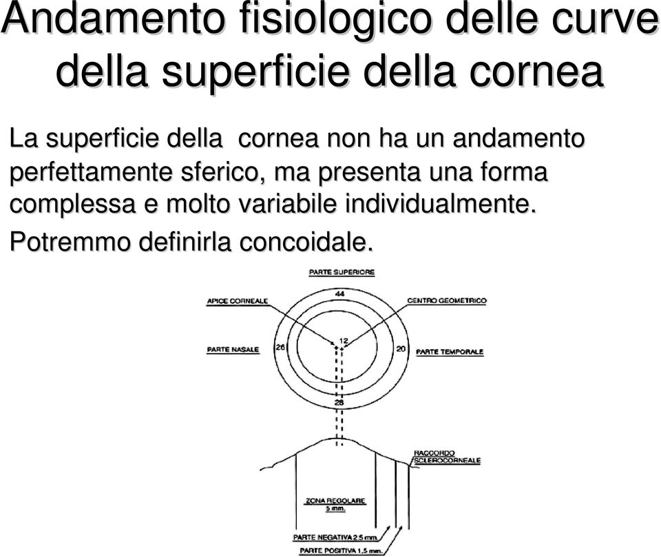 perfettamente sferico, ma presenta una forma complessa e