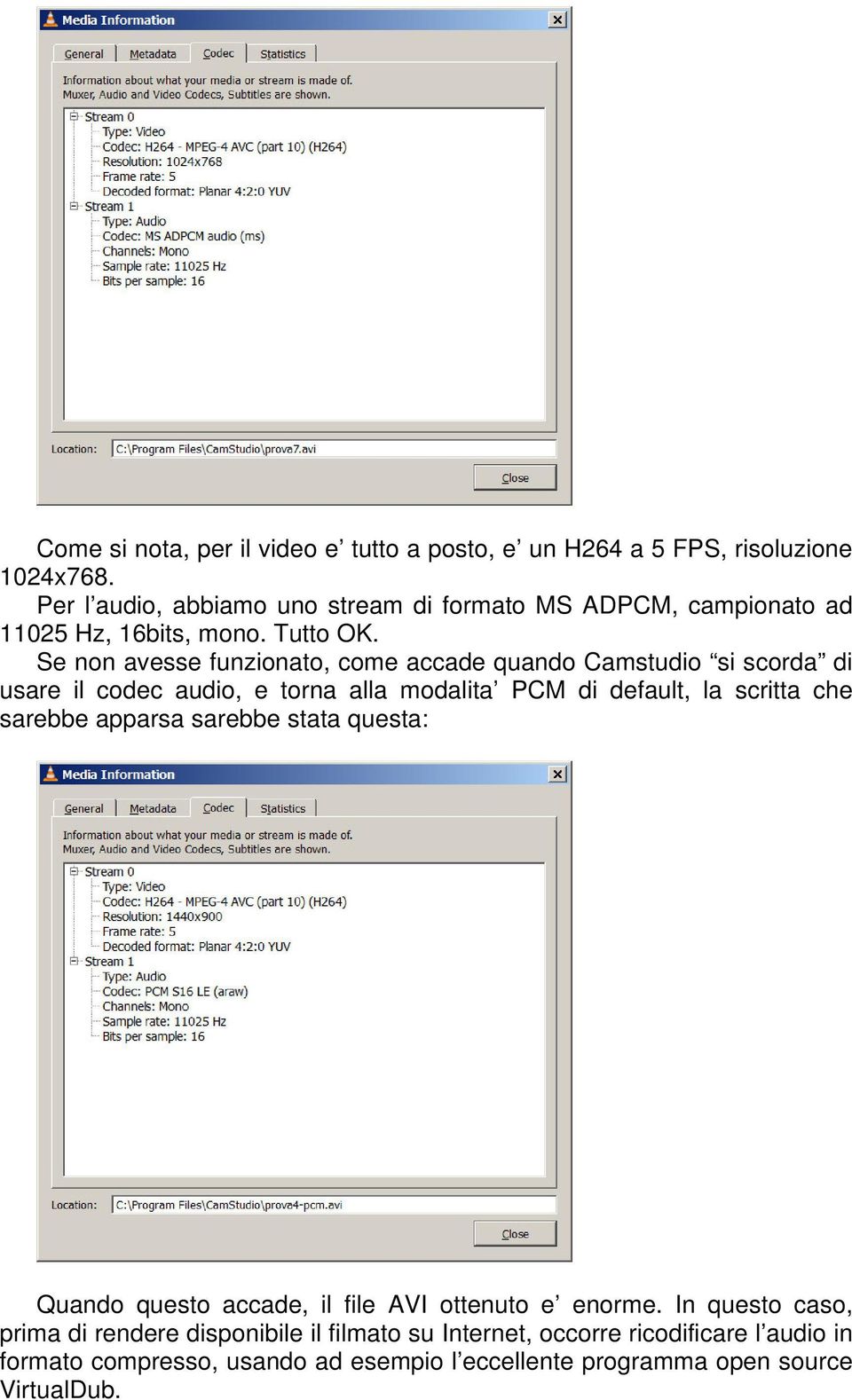 Se non avesse funzionato, come accade quando Camstudio si scorda di usare il codec audio, e torna alla modalita PCM di default, la scritta che sarebbe