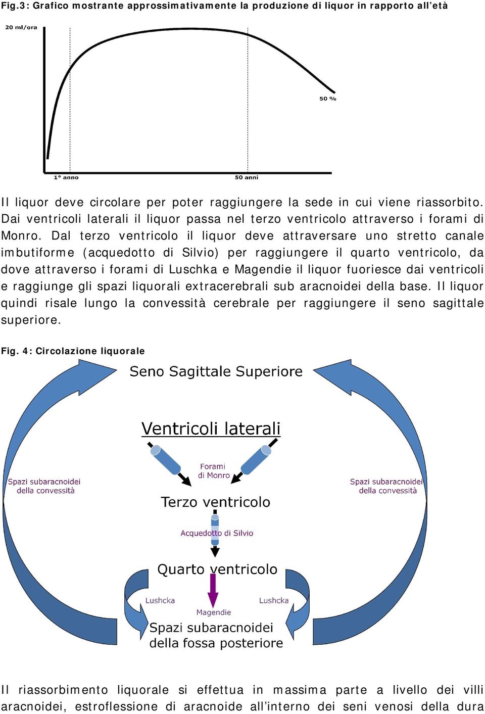 Dal terzo ventricolo il liquor deve attraversare uno stretto canale imbutiforme (acquedotto di Silvio) per raggiungere il quarto ventricolo, da dove attraverso i forami di Luschka e Magendie il