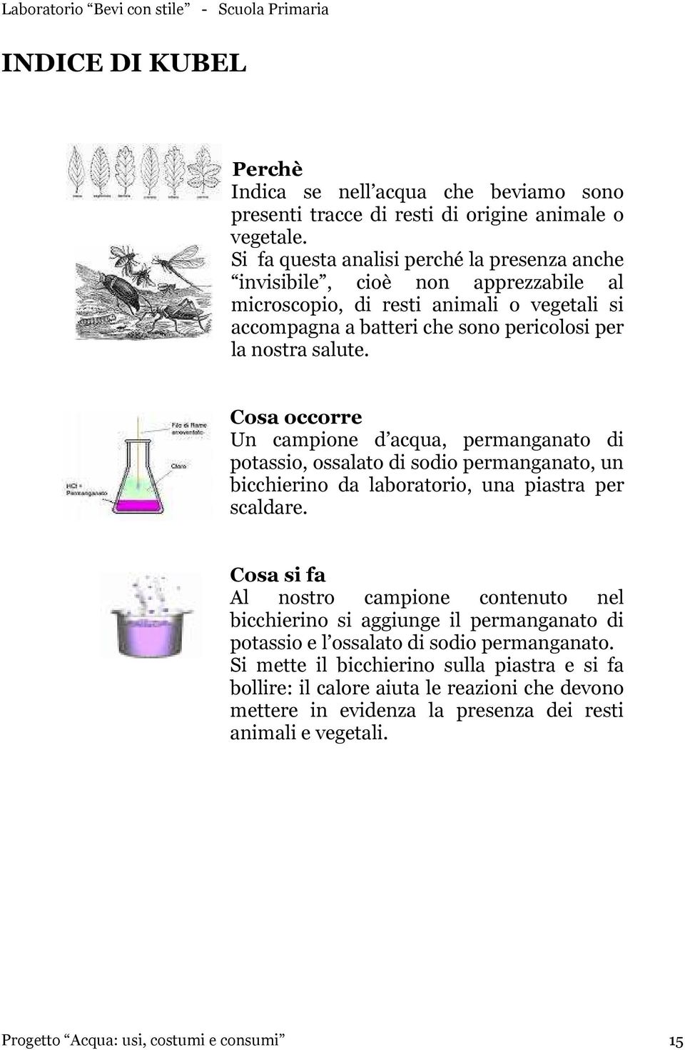 Cosa occorre Un campione d acqua, permanganato di potassio, ossalato di sodio permanganato, un bicchierino da laboratorio, una piastra per scaldare.