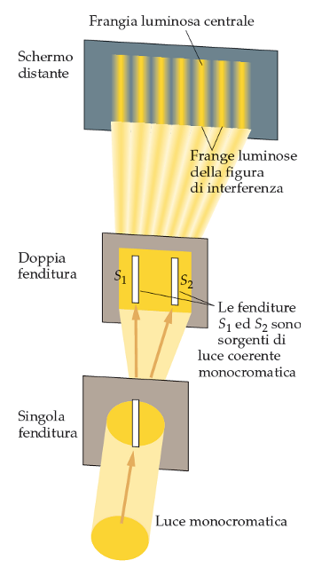 L'esperimento di Young (II) Una luce monocromatica illumina due piccole aperture su una lastra opaca.