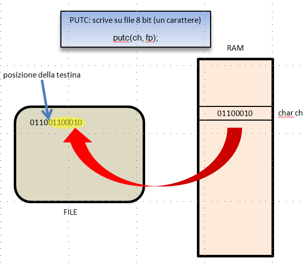 Per scrivere un carattere su file di testo si usa l istruzione putc: putc(carattere, indirizzo del file) Scrive il carattere su file di testo. E di tipo void.