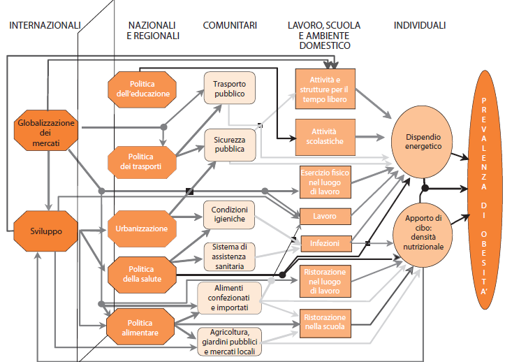 .Non è facile cambiare: l obesità Kumanyika S et al. Obesity prevention: the case for action.