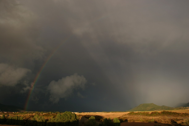 Irregolarmente nebbioso. Addensandosi può evolversi in altostrato.