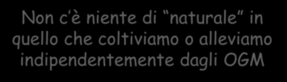 Non c è niente di naturale in quello che