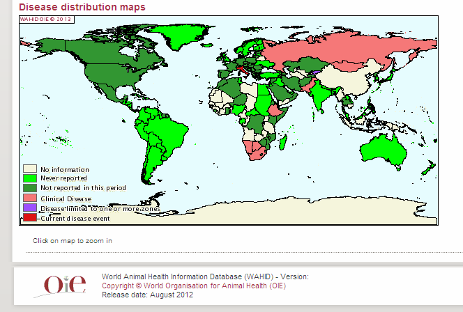 MORBO COITALE MALIGNO La situazione epidemiologica internazionale - Anno 2011 (OIE) L'infezione è endemica in molte aree del continente