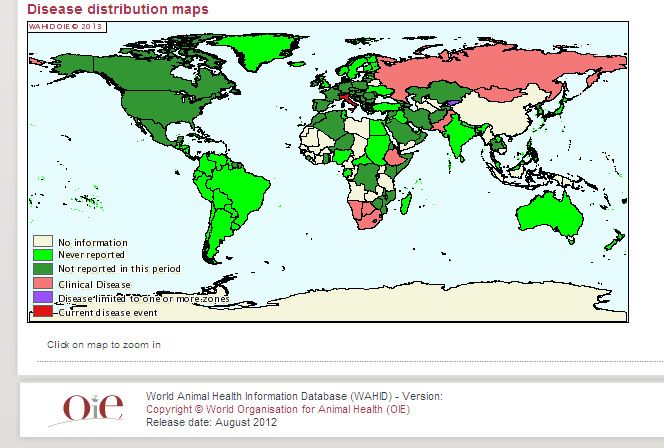 MORBO COITALE MALIGNO La situazione epidemiologica internazionale - Anno 2011 (sito OIE) L'infezione è endemica in molte aree del continente