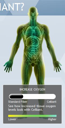 Ossigenazione Test clinici (2003) hanno dimostrato che le particelle di Celliant stimolino alcuni pigmenti ed enzimi della pelle, aumentando l irrorazione