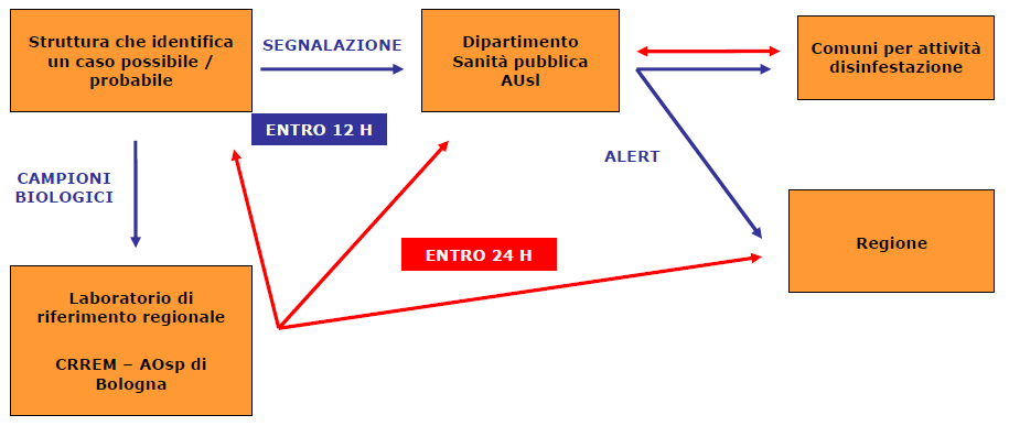 Casi segnalati e casi indagati dal laboratorio A B Periodo 15/6 15/11 Casi A segnalati dal