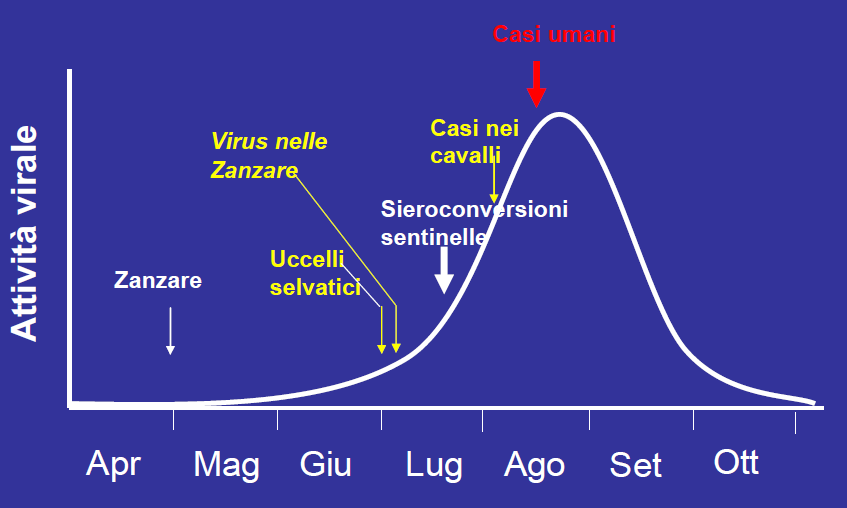 La sorveglianza WN in