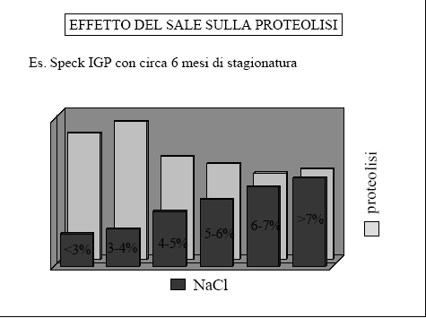 Il sale riduce la velocità di proteolisi ma pare stabilizzi gli enzimi in configurazione