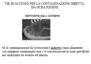 Qualità microbiologica prosciutto crudo Rischio ocratossine Aria