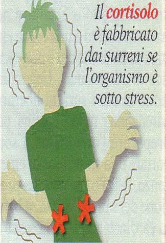 ORMONE DELLO STRESS Si chiama CORTISOLO ed è elaborato dalla corteccia delle ghiandole surrenali.