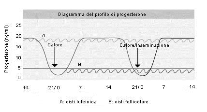 economico della mandria.