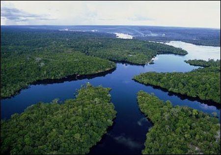 Trattamenti delle acque, ispirati ai meccanismi depurativi caratteristici degli ecosistemi naturali.