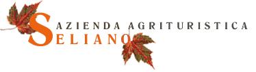 I CONCORSO DI ELEGANZA - ATTACCHI REGGIA DI CASERTA Gran Premio AGRITURISMO SELIANO DEI BARONI BELLELLI Reggia di Caserta, 7 settembre 2014 Comitato Organizzatore Responsabile F.I.S.E. Giuria S.I.A.T. Driving Giuseppe Angiulli Ferdinando Bruni, Elisabetta Galantino, Roberto Cardona.