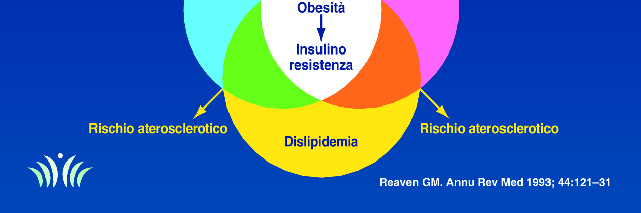 OBIETTIVO Prevenire la sindrome metabolica, incidendo sui fattori predisponenti e promuovendo l adozione l di stili di vita sani da parte di soggetti a rischio.