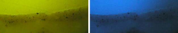 Microfotografia con filtro SWB Microfotografia con filtro NV Dalle osservazioni microscopiche si ricava la sequenza stratigrafica riportata di seguito: OSSERVAZIONI: interno stanza intonaco mezzanino