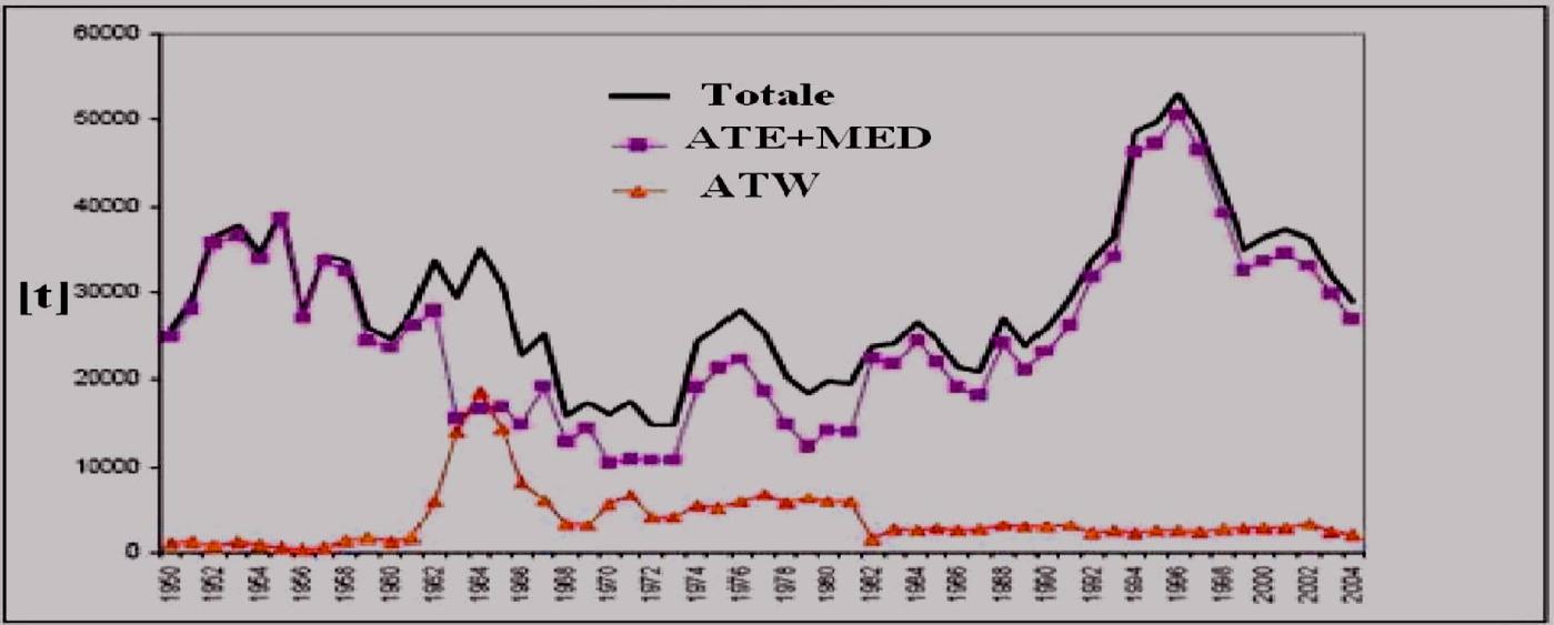 quelle effettuate nell Atlantico Occidentale, tanto che nel 2004 hanno rappresentato oltre il 90% delle catture totali (fig. 5). Fig.