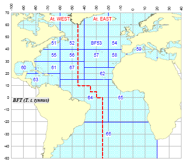 Fig. 4: Limite di separazione tra Atlantico Orientale ed Occidentale ed aree di campionamento del Tonno rosso ------ limite -------