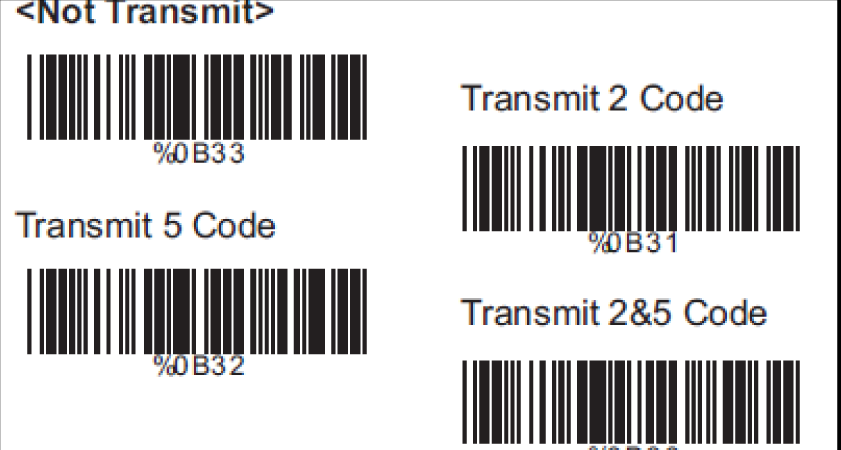 5.2 Parametri EAN/UPC B. Gestione Add-On (supplementi) pag. 20 C.