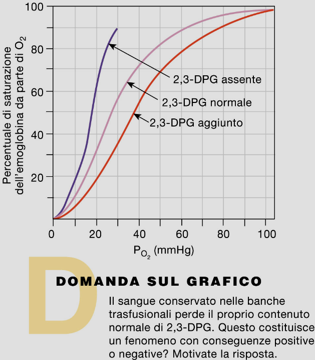 2,3 DIFOSFOGLICERATO: METABOLITA DEI GLOBULI ROSSI, PRODOTTO IN