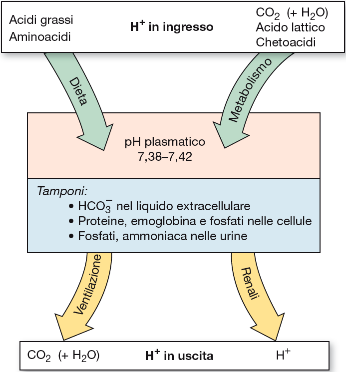 Bilancio degli ioni