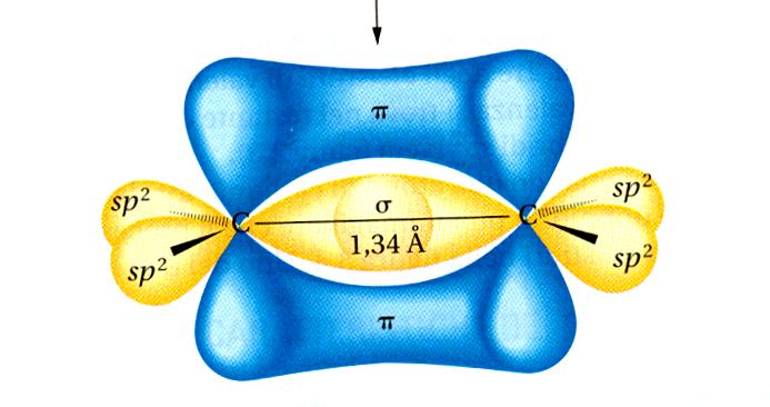 ALENI Gli alcheni sono idrocarburi insaturi caratterizzati dalla presenza di un doppio legame Nomenclatura: radice + suffisso ene L