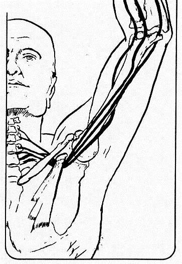 Lo stretto toracico e costituito da un area ristretta posta al di sopra della clavicola in cui transitano importanti strutture quali i vasi sanguigni e il plesso nervoso per garantire la funzione