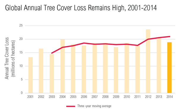 Deforestazione Secondo il Global Forest Watch: deforestazione in crescita 18 milioni di ettari di copertura forestale perduti nel 2014* Brasile e Indonesia: dopo un calo nel 2013 la deforestazione