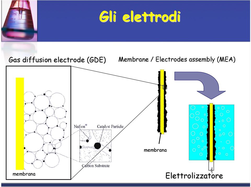 Electrodes assembly (MEA)