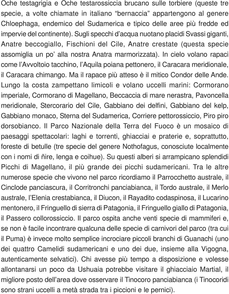 Sugli specchi d acqua nuotano placidi Svassi giganti, Anatre beccogiallo, Fischioni del Cile, Anatre crestate (questa specie assomiglia un po alla nostra Anatra marmorizzata).