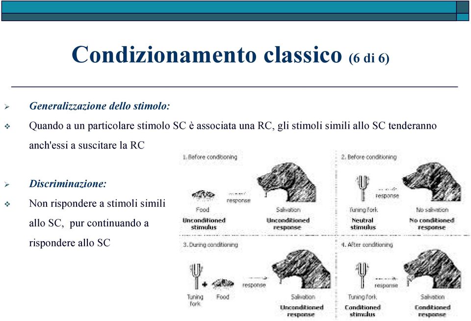 simili allo SC tenderanno anch'essi a suscitare la RC Discriminazione: