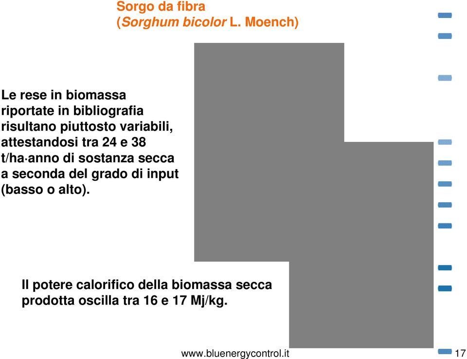 variabili, attestandosi tra 24 e 38 t/ha anno di sostanza secca a seconda del