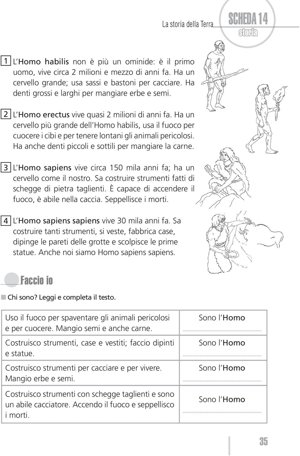 Ha un cervello più grande dell Homo habilis, usa il fuoco per cuocere i cibi e per tenere lontani gli animali pericolosi. Ha anche denti piccoli e sottili per mangiare la carne.