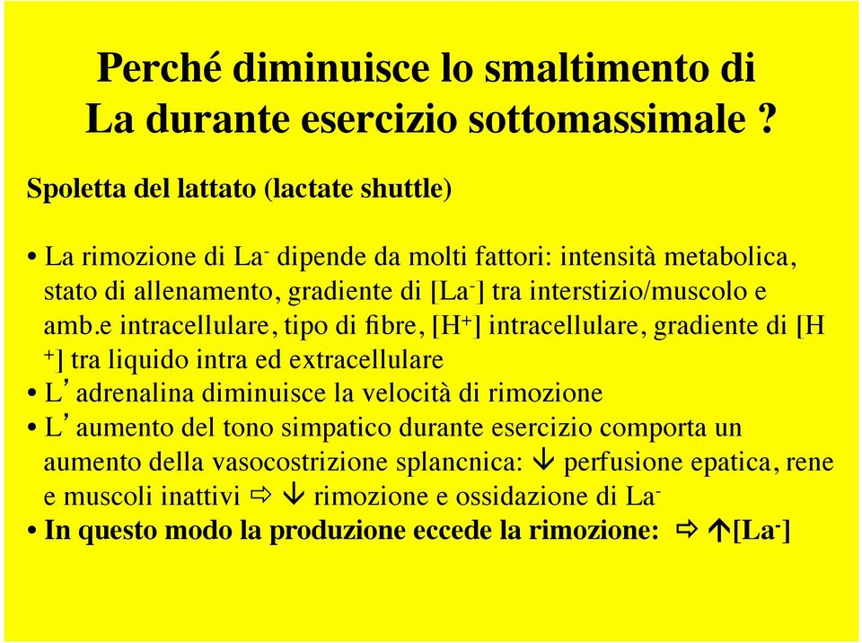 interstizio/muscolo e amb.