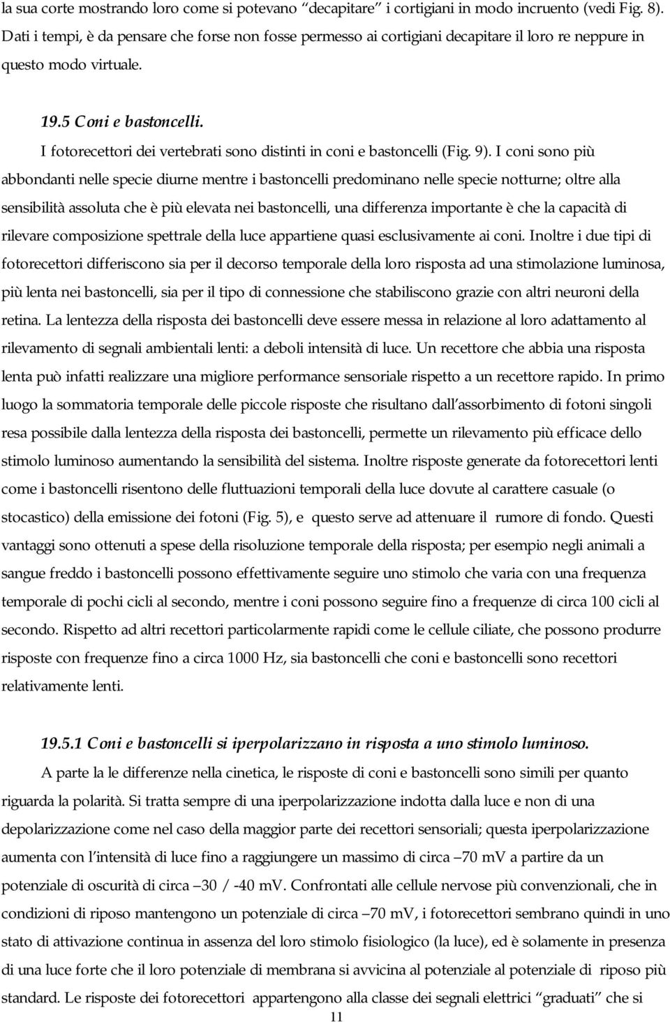 I fotorecettori dei vertebrati sono distinti in coni e bastoncelli (Fig. 9).