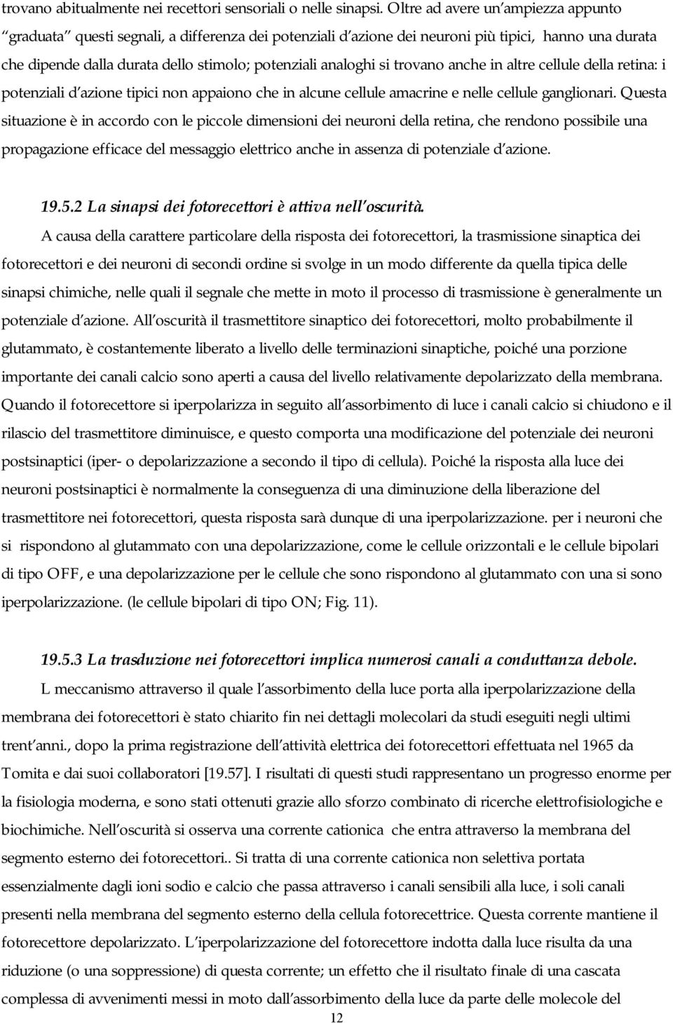 si trovano anche in altre cellule della retina: i potenziali d azione tipici non appaiono che in alcune cellule amacrine e nelle cellule ganglionari.