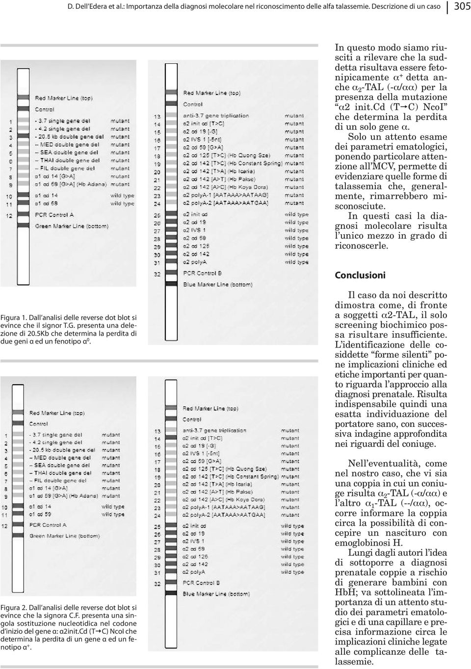 cd (T C) NcoI che determina la perdita di un solo gene α.