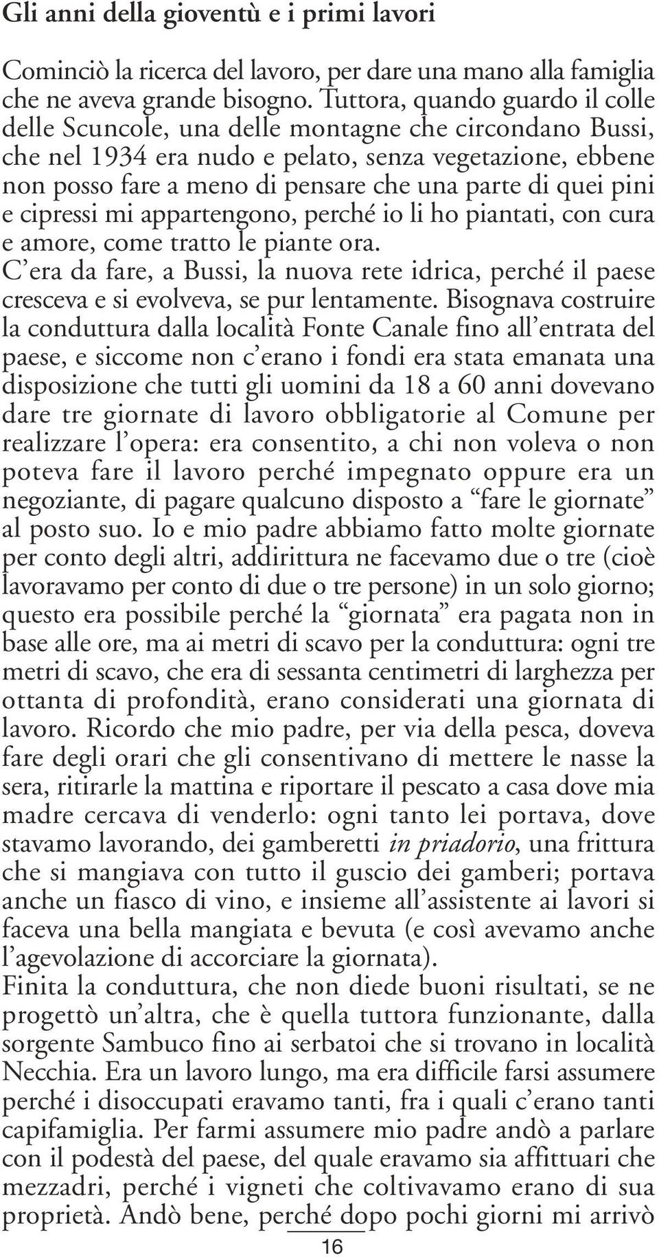 quei pini e cipressi mi appartengono, perché io li ho piantati, con cura e amore, come tratto le piante ora.