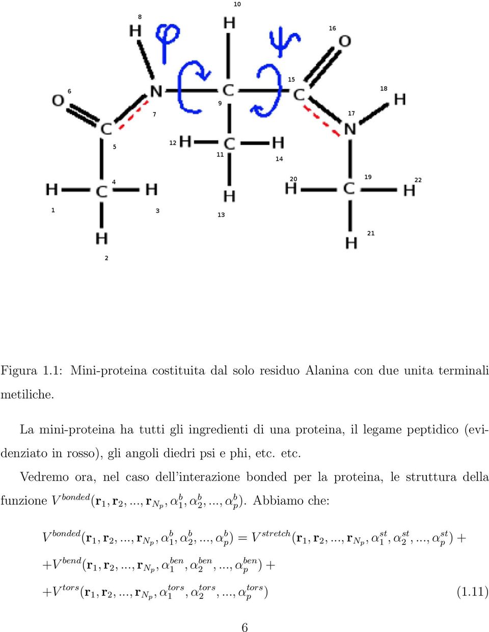 etc. Vedremo ora, nel caso dell interazione bonded per la proteina, le struttura della funzione V bonded (r 1, r 2,..., r Np, α b 1, α b 2,..., α b p).