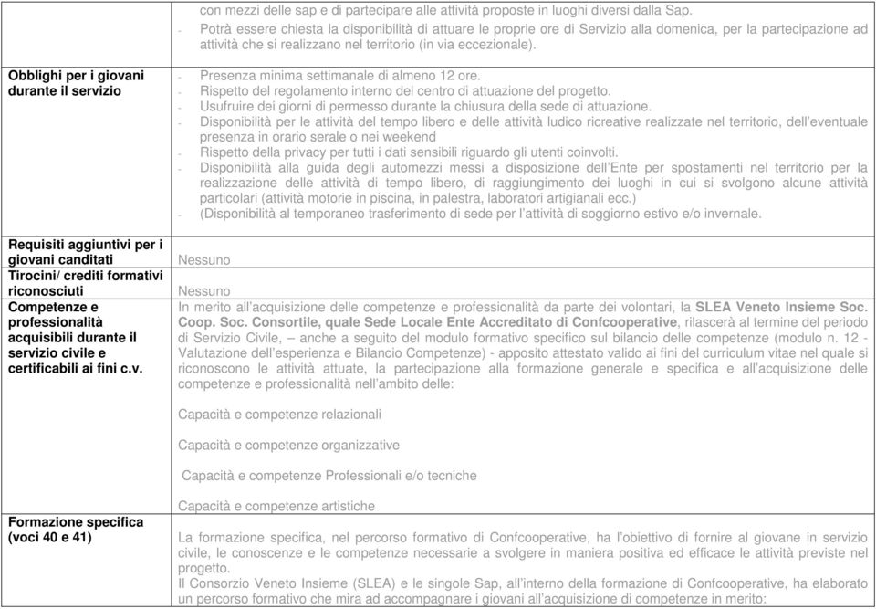 Obblighi per i giovani durante il servizio Requisiti aggiuntivi per i giovani canditati Tirocini/ crediti formativi riconosciuti Competenze e professionalità acquisibili durante il servizio civile e